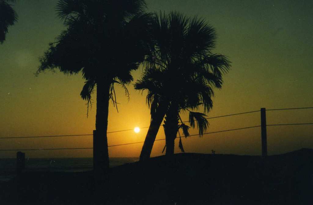 Edisto Beach State Park