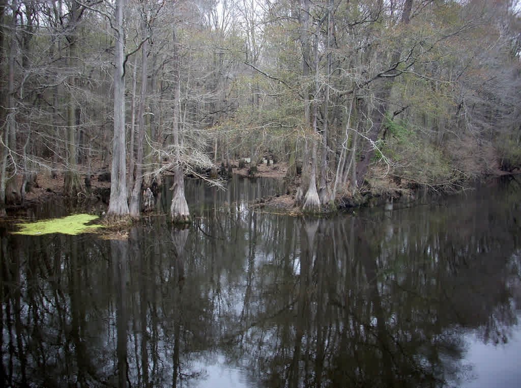 Lumber River State Park