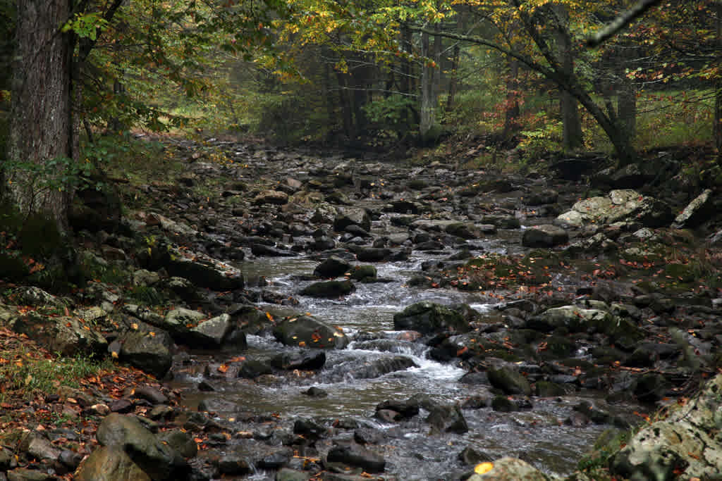 Elizabeth Furnace Recreation Area