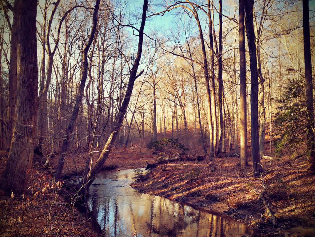 Turkey Run Ridge Group Campground