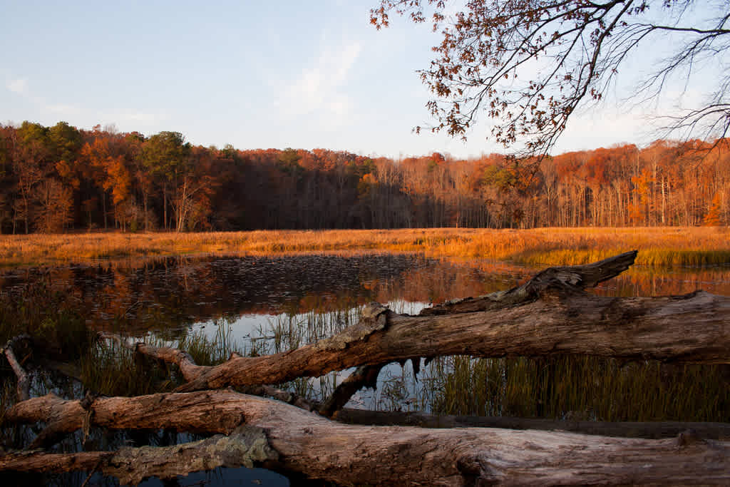 Pocahontas State Park Campground