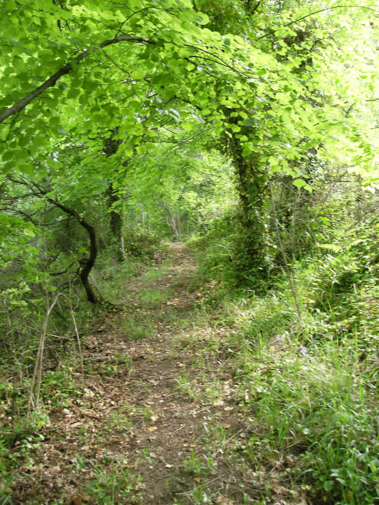 Big Hill Pond State Park