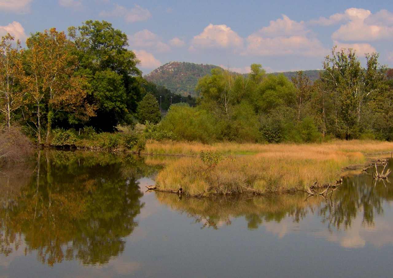 Cumberland Mountain Campground