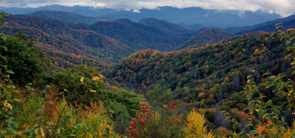 Look Rock Campground