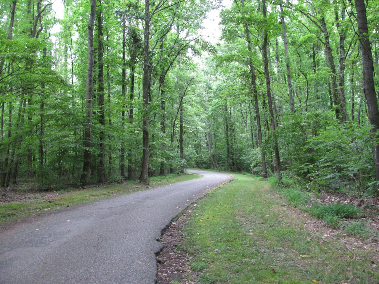 Meeman-Shelby Forest State Park