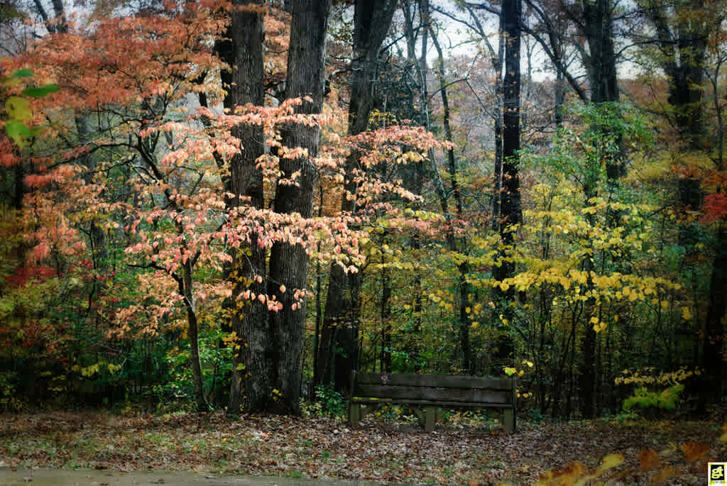 Old Stone Fort State Park