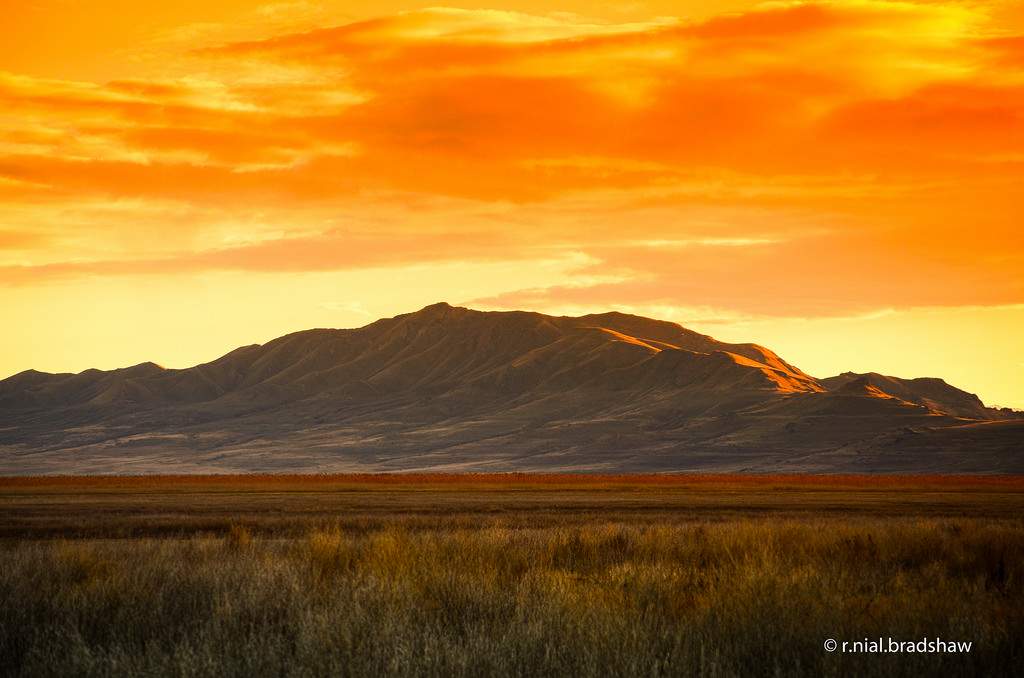 Antelope Island State Park