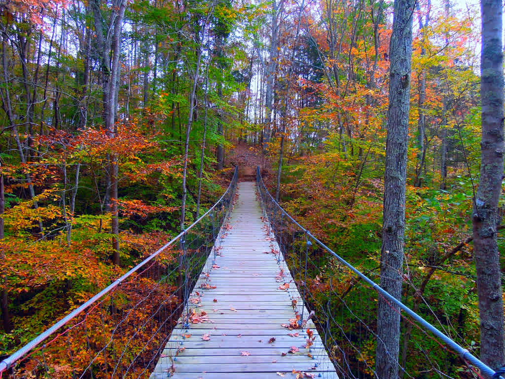 Tims Ford State Park