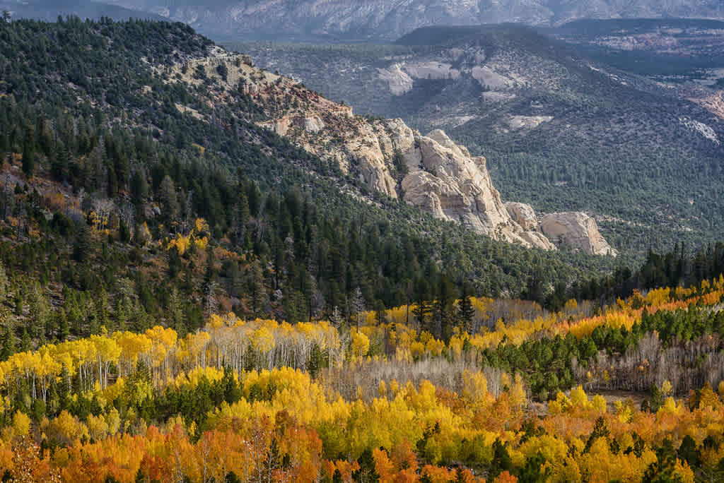 Fishlake National Forest