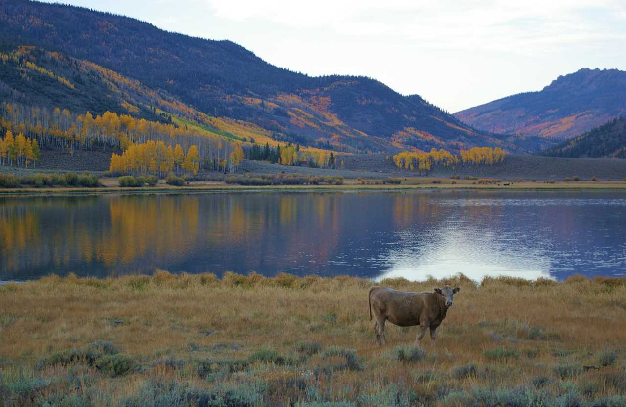 City Creek Rec Site Campground