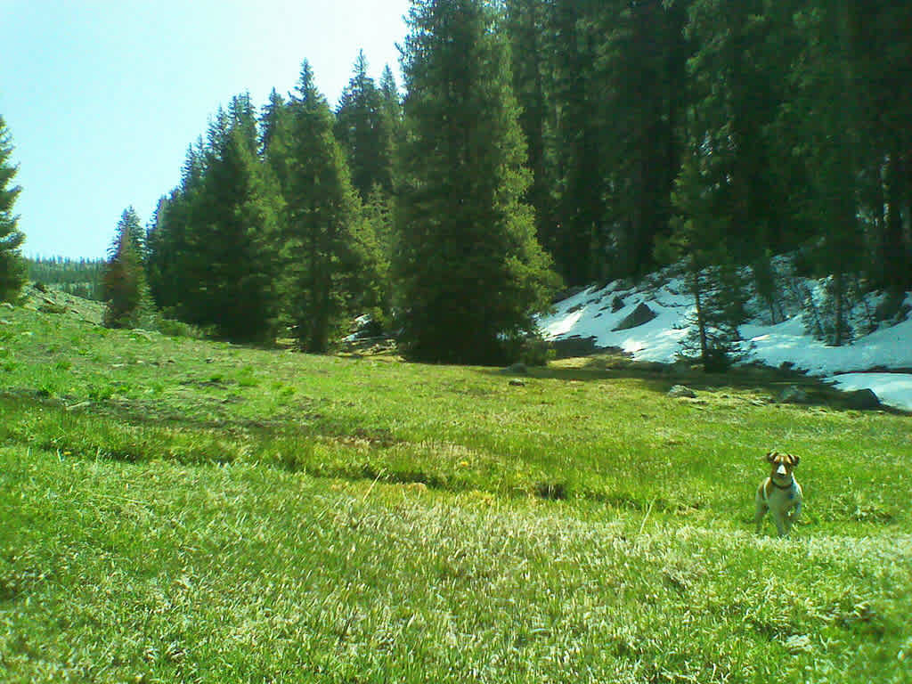 Rosebud ATV Campground