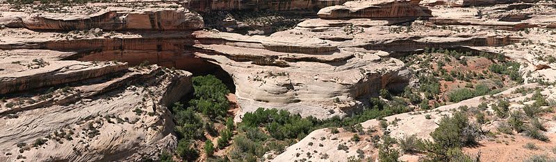 Natural Bridges Campground