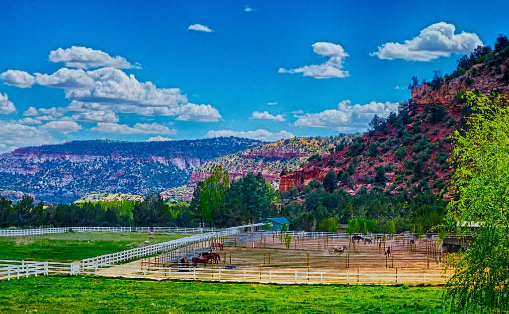 Ponderosa Grove Campground