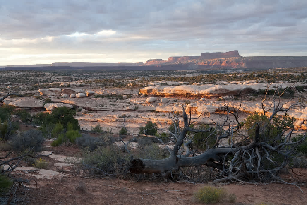 Sand Island Campground