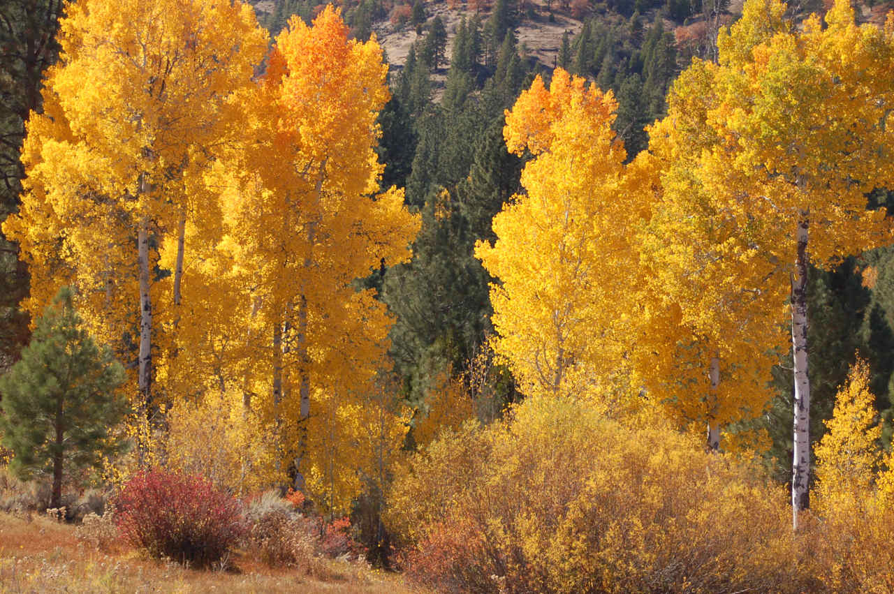 So cool in the fall!! The trees were beautiful colors. 