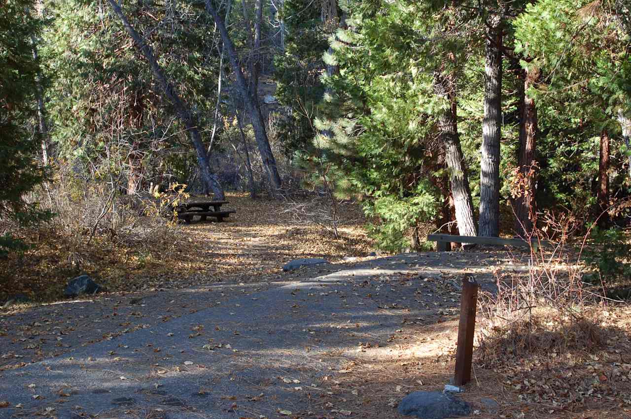 Such a chill campground, loved the vibes!