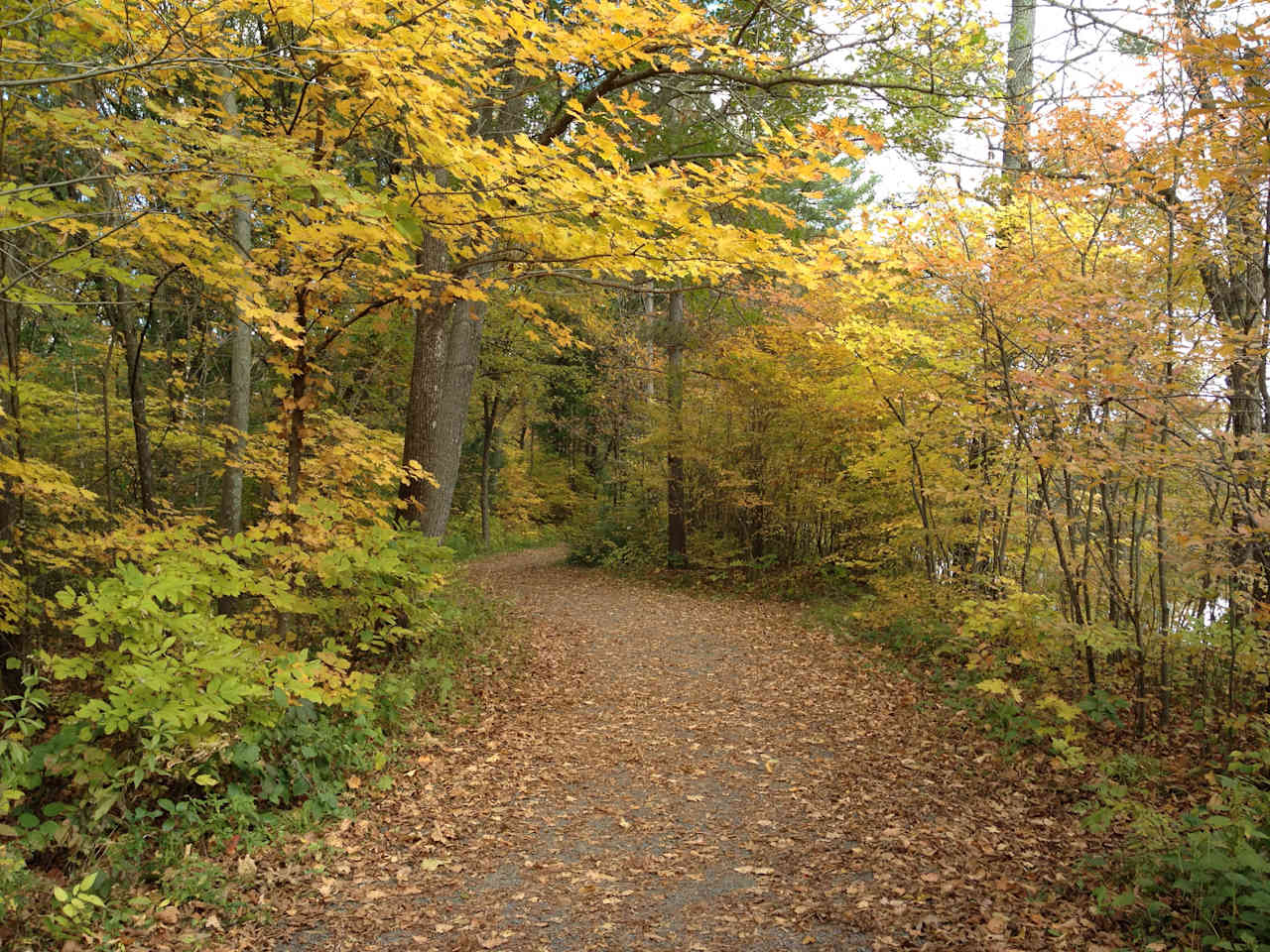 William O'Brien State Park