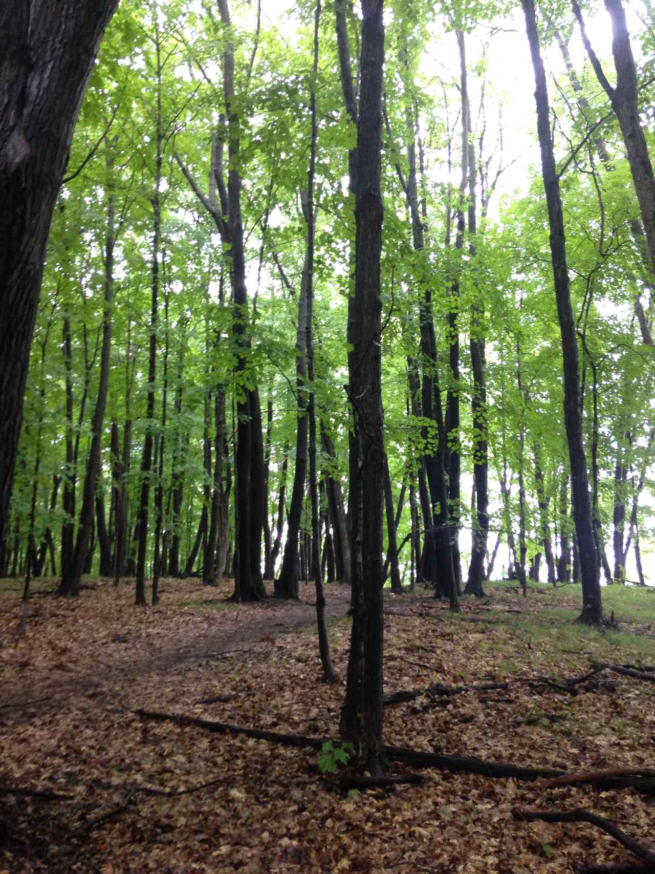 Lake Maria in late August, unbelievably green! 