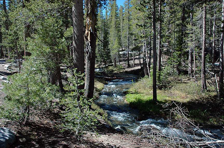 Awesome little creek to play in!