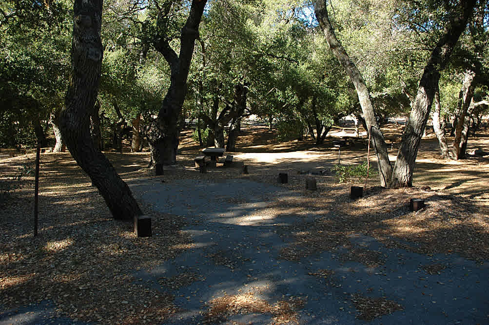 Slept well with the shade of the trees
