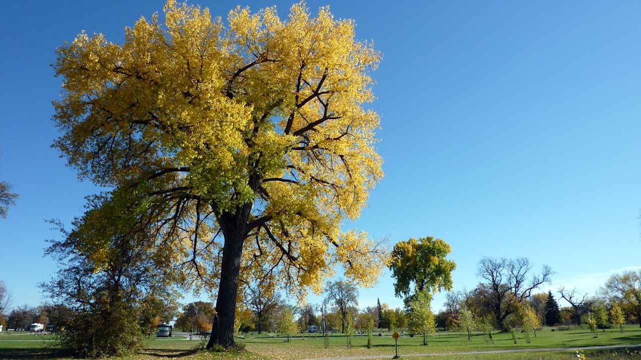 Red River State Recreation Area