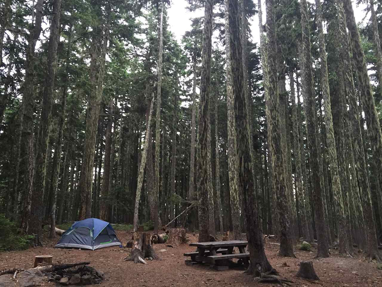 Campsite #4