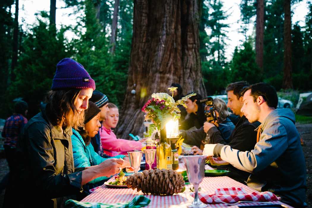 Dinner party in the woods