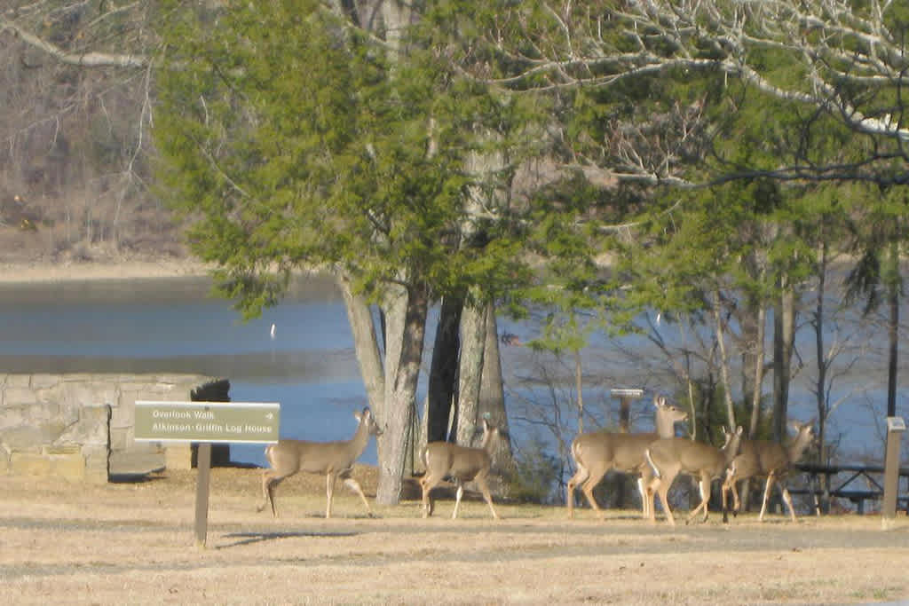 Holmes Bend Campground