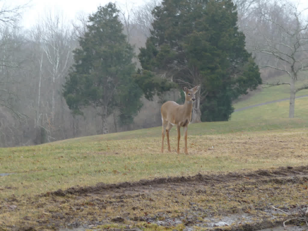 General Butler State Resort Park