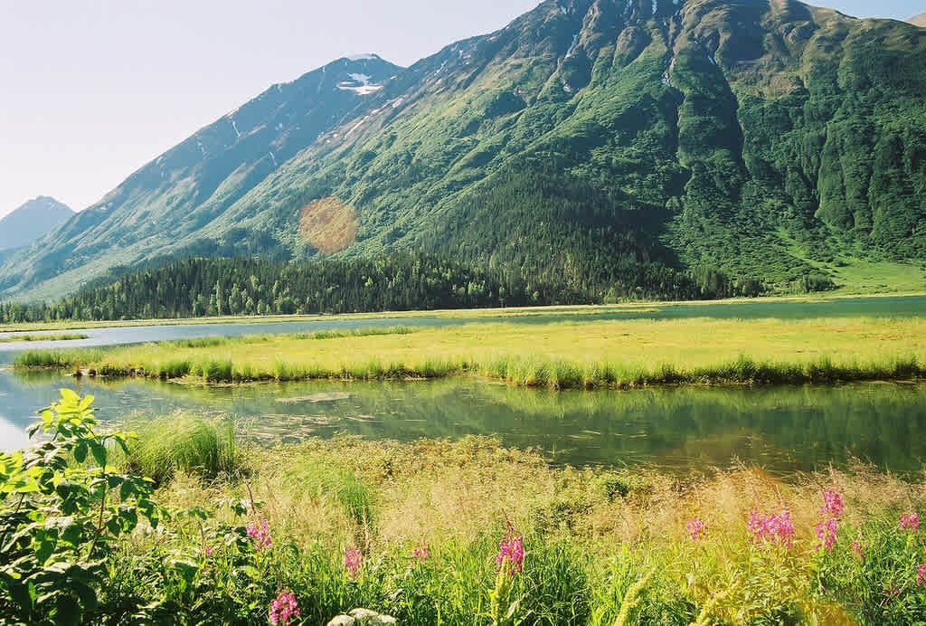 Kenai River Special Management Area