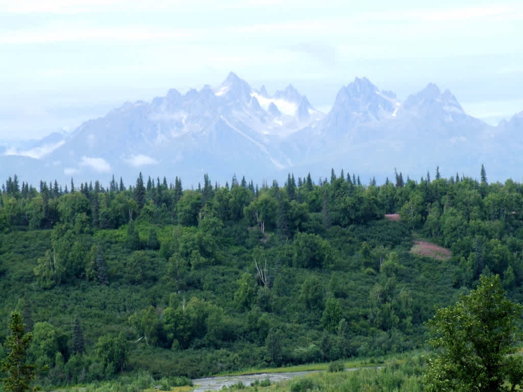 Denali View North