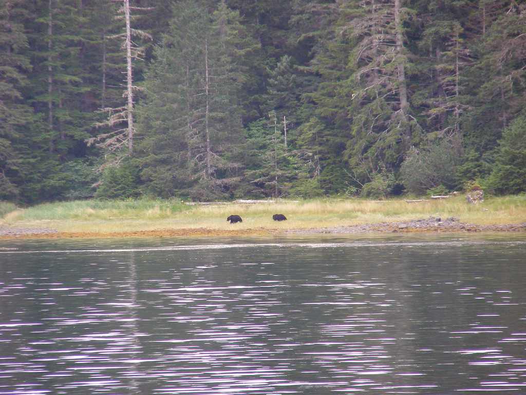 Magoun Islands Campground