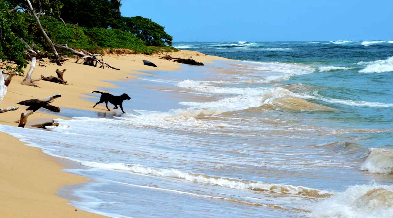 Mālaekahana State Recreation Area