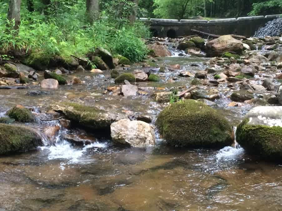 Horse Creek, which runs through the area, offers a nice, soothing background.