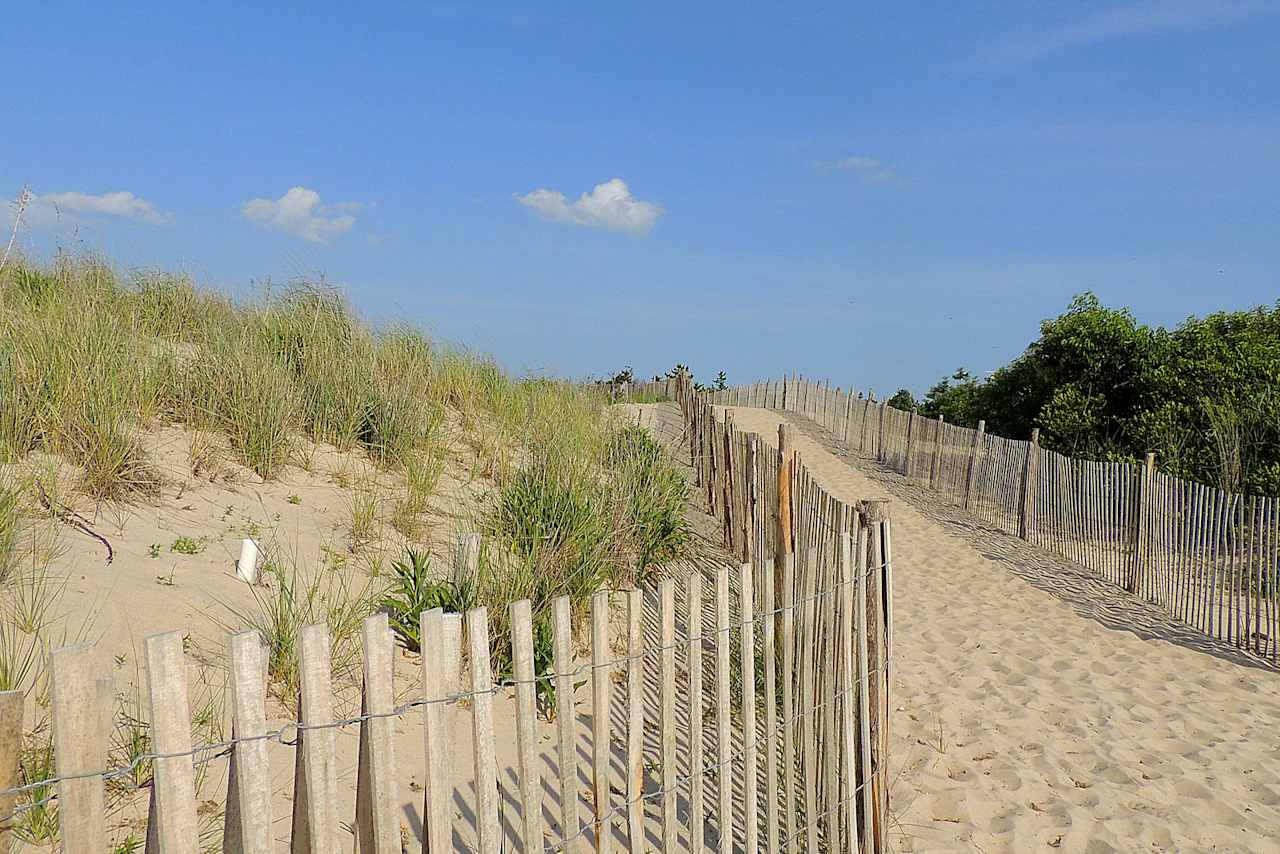 Headed to the beach at Cape Henlopen. 