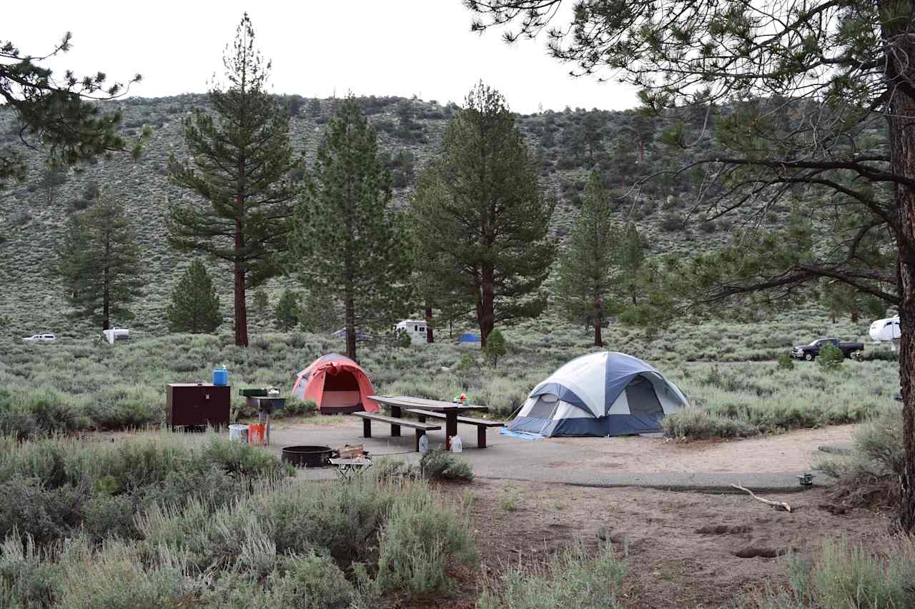 Site number 26 at Crags. Stayed two nights. Short walk to creek. Showers are a 3 min drive out of campground, at RV park across main road. Very nice. 