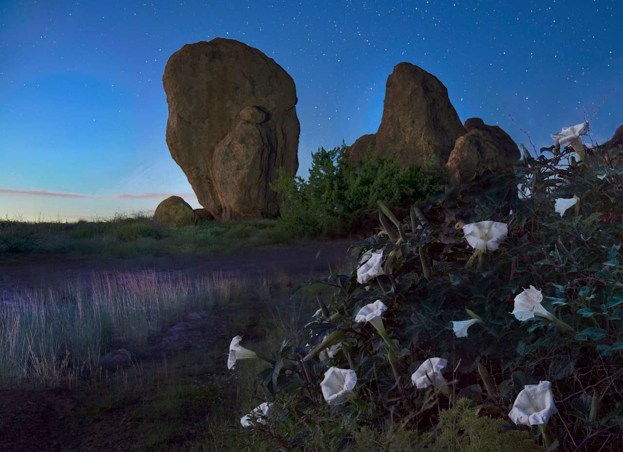 City of Rocks State Park