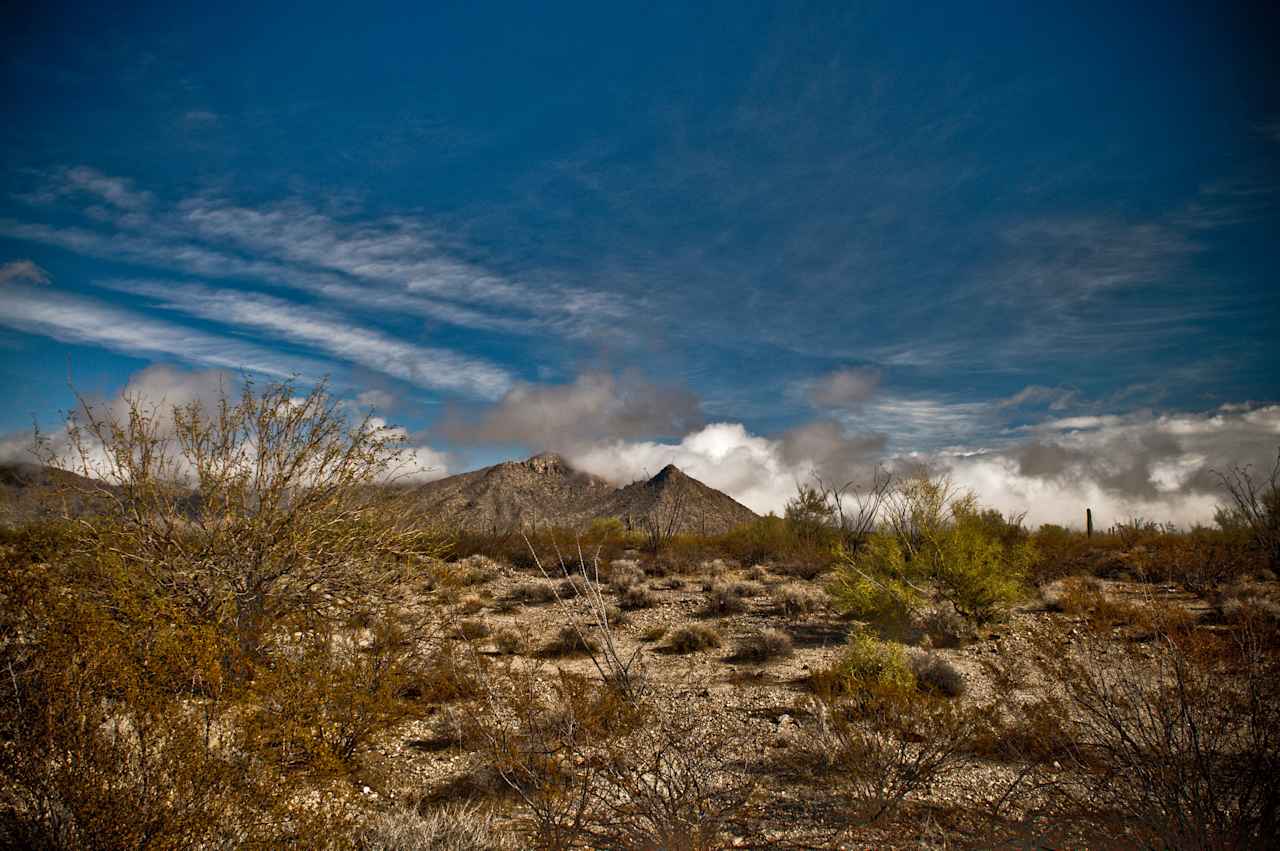 Alamo Lake State Park