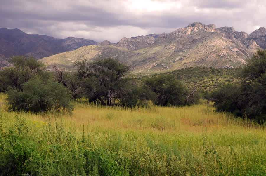 Catalina Campground