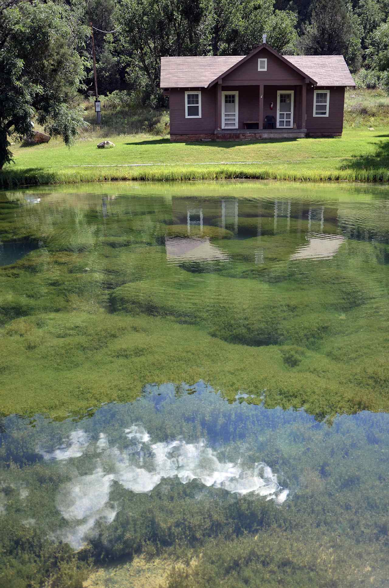 Dogtown Lake Campground