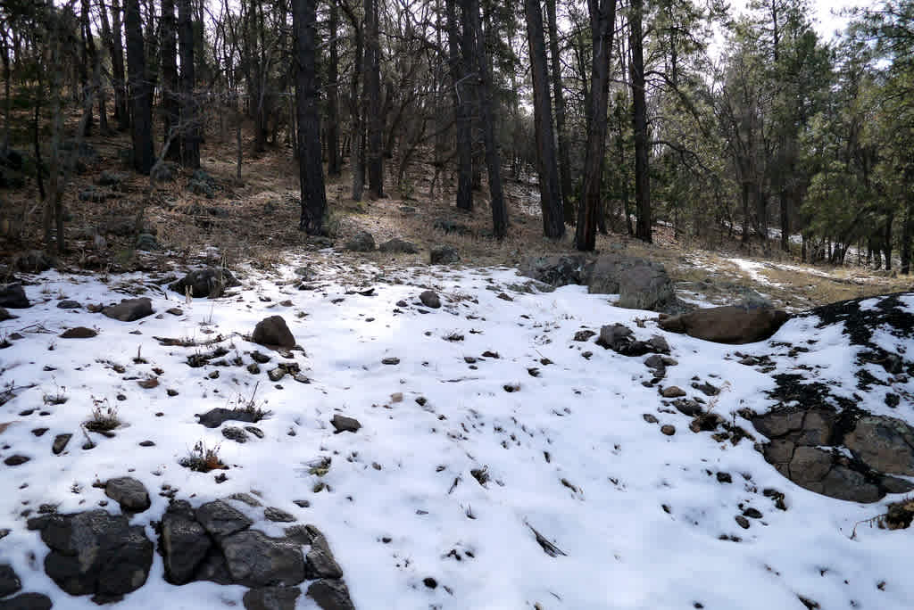 Potato Patch Campground