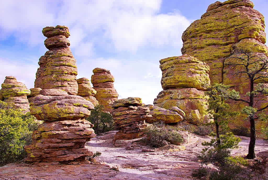 Bonita Canyon Campground