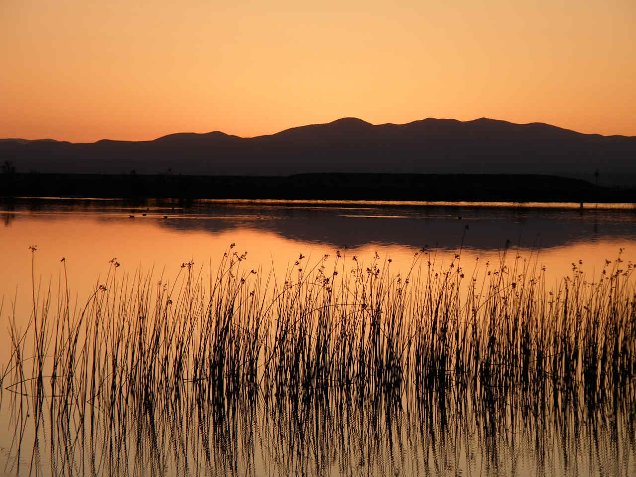 Roper Lake State Park