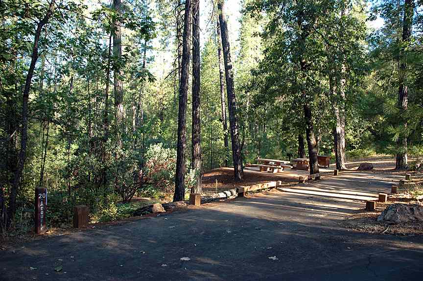 Breathe taking views and such a fun time camping beneath such massive trees!!