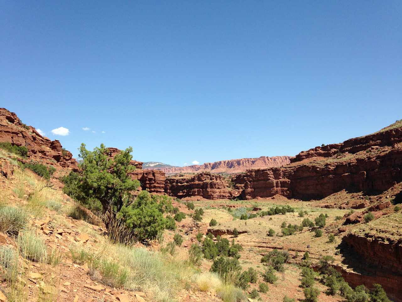 Capitol Reef National Park