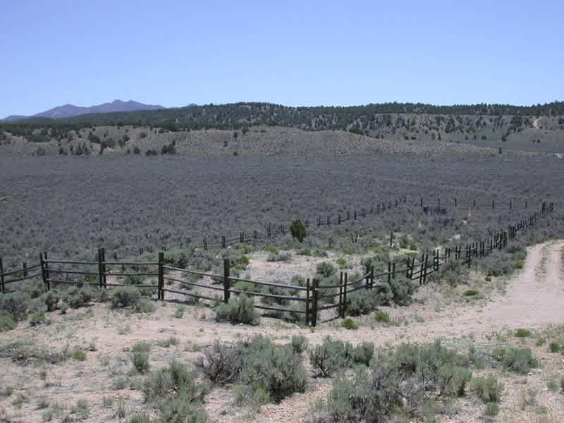 Ranch Campground