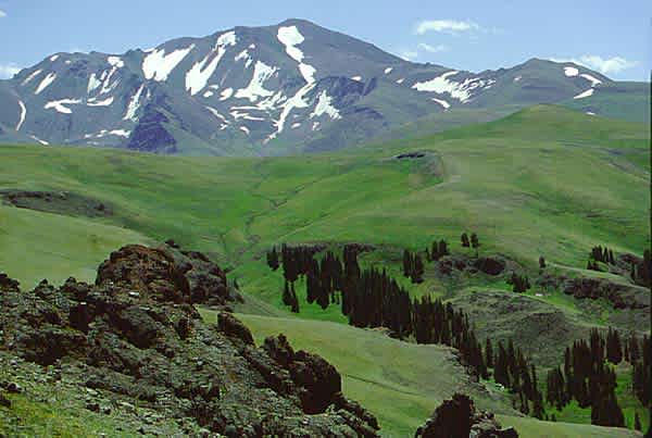 Shoshone National Forest