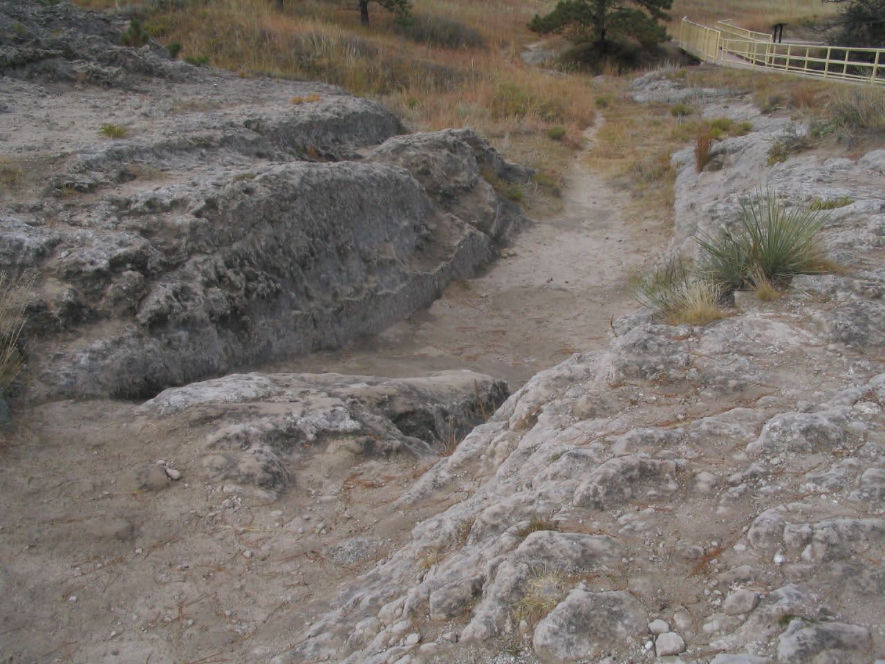 Fish Canyon Cove Campground