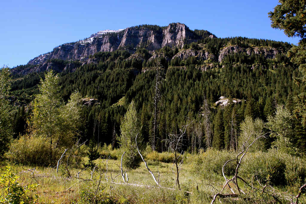 Targhee National Forest