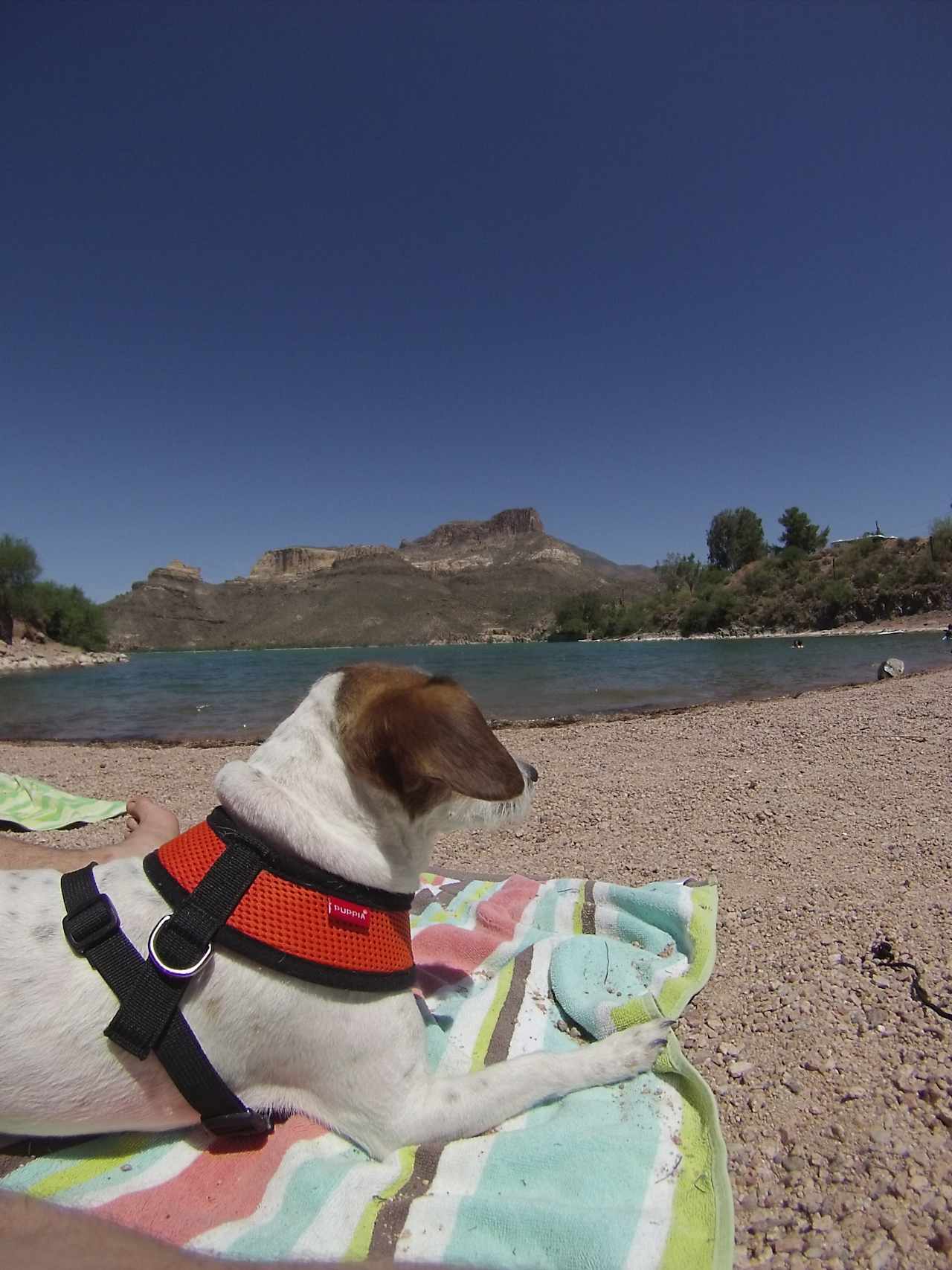 Crabtree Wash Campground